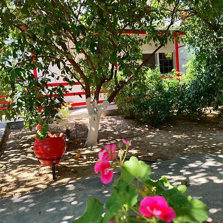 Cottonclub Villas Tolo Bagian luar foto