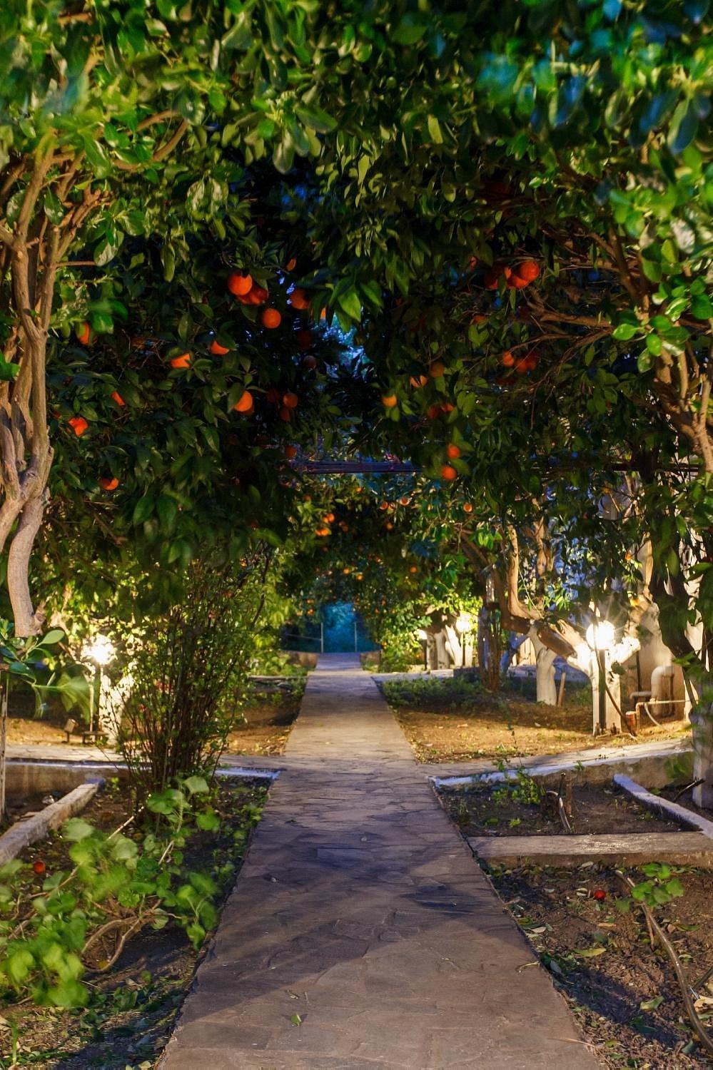 Cottonclub Villas Tolo Bagian luar foto