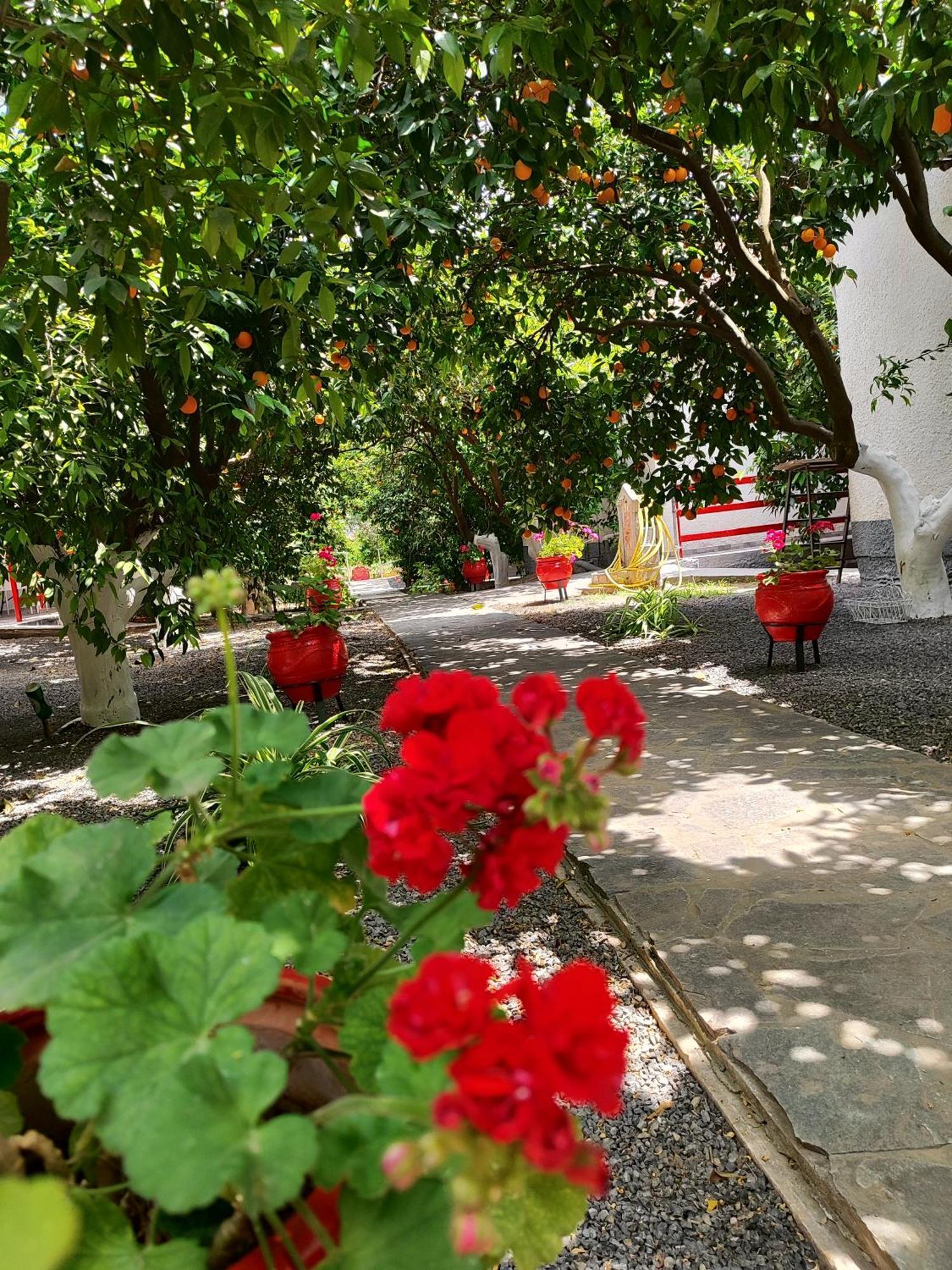 Cottonclub Villas Tolo Bagian luar foto