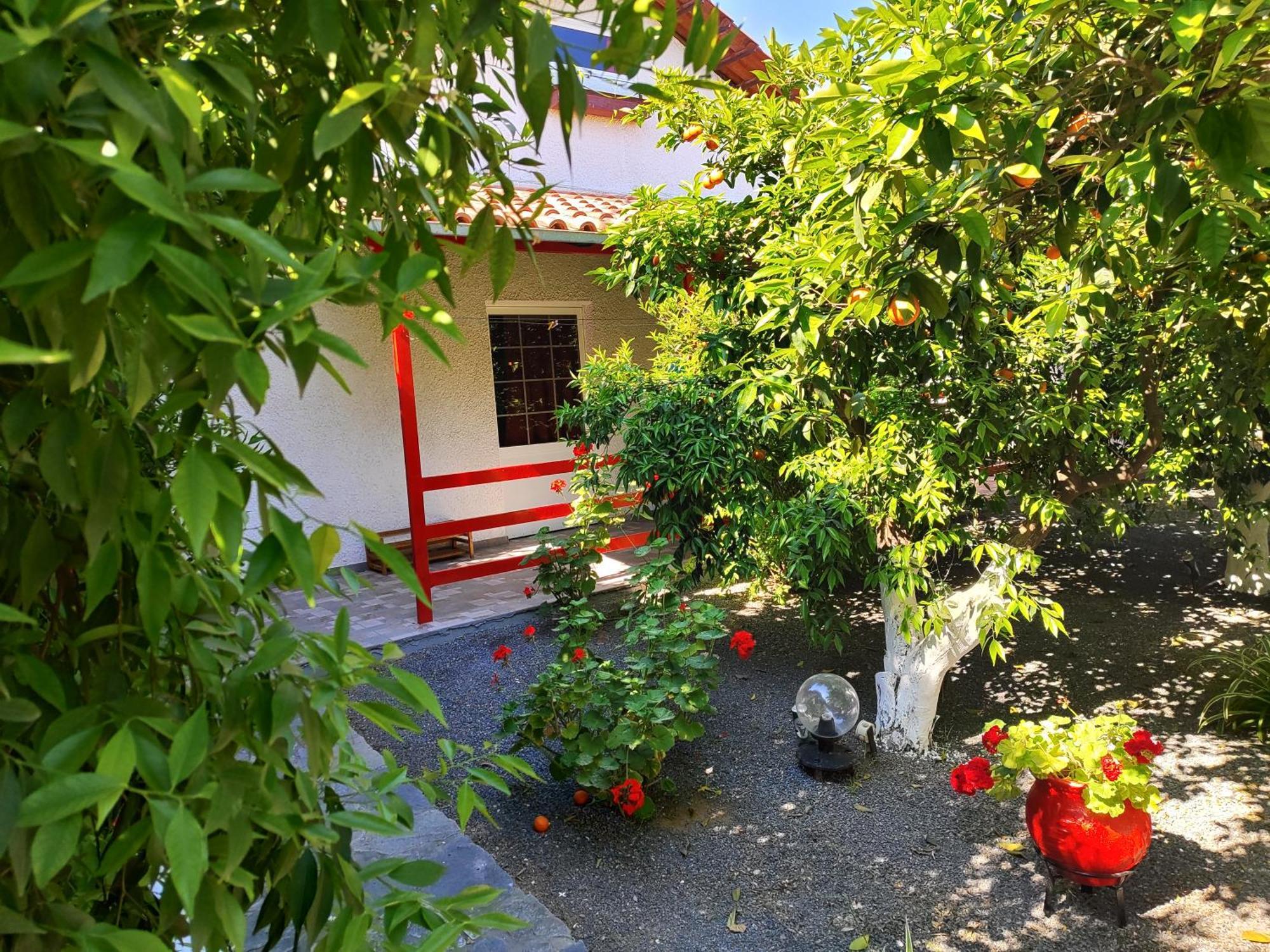 Cottonclub Villas Tolo Bagian luar foto