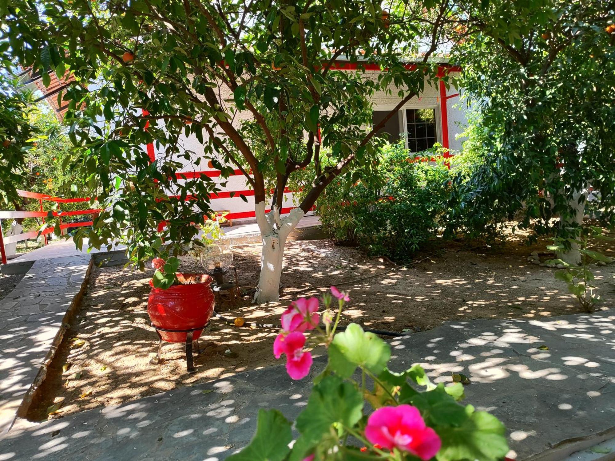 Cottonclub Villas Tolo Bagian luar foto