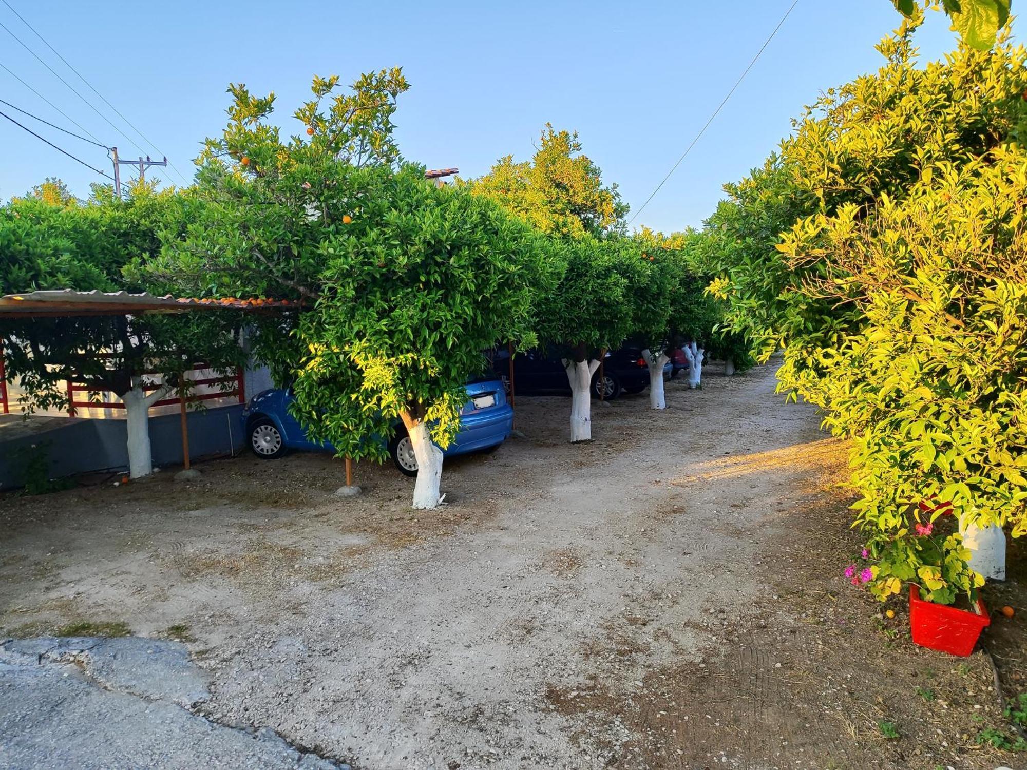Cottonclub Villas Tolo Bagian luar foto