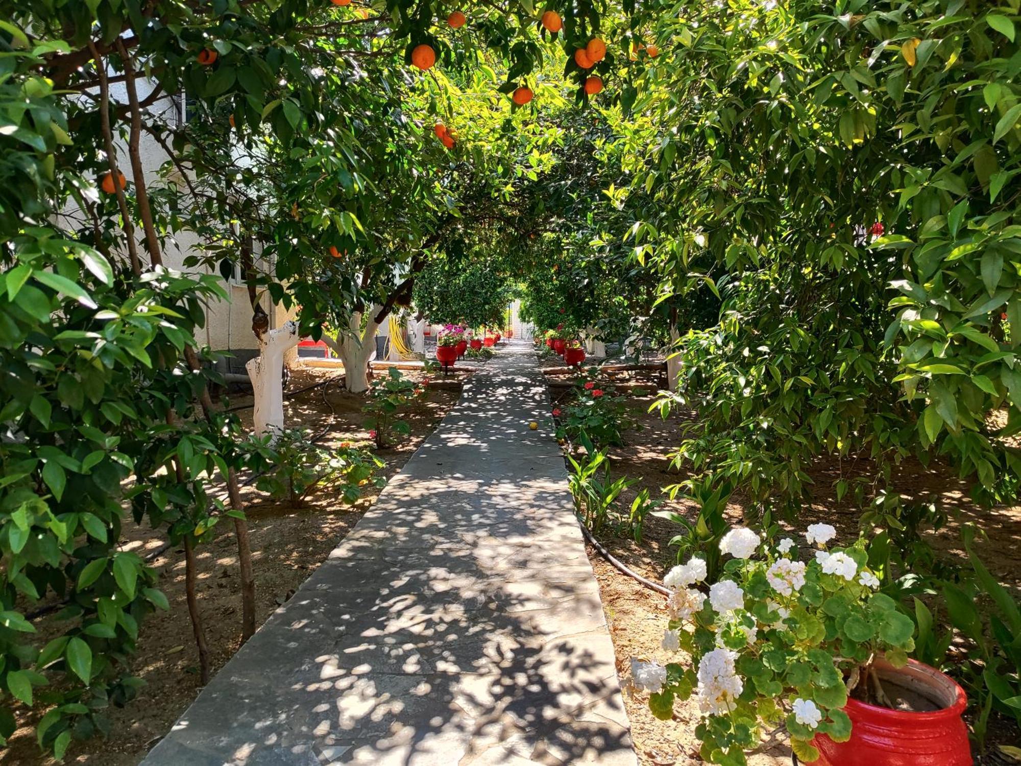 Cottonclub Villas Tolo Bagian luar foto