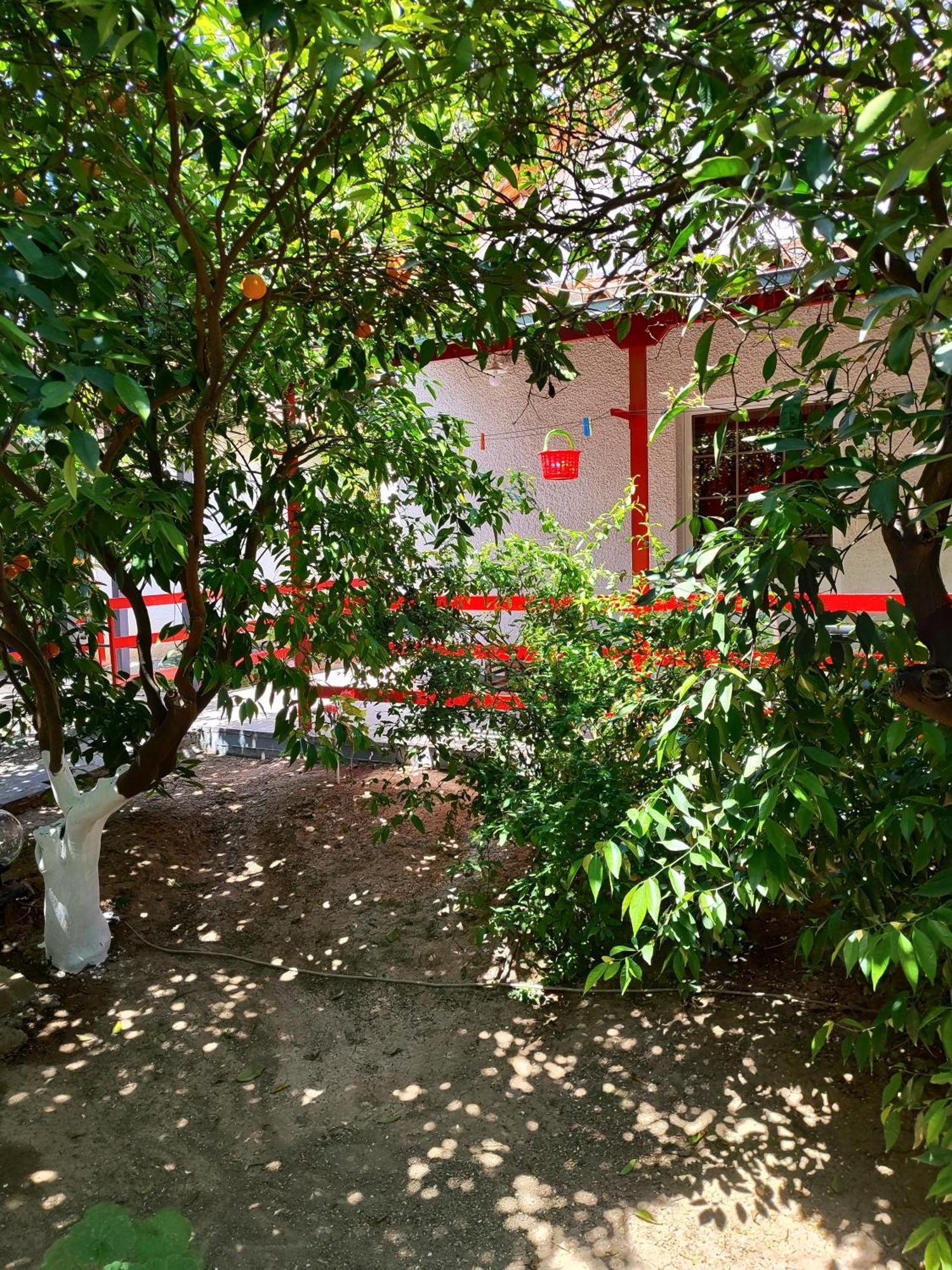 Cottonclub Villas Tolo Bagian luar foto